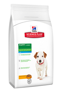 Healthy Development Puppy - Mini Breed